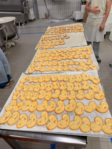 Geocaching - Entdecke deine Chancen in Brackel und Wambel!